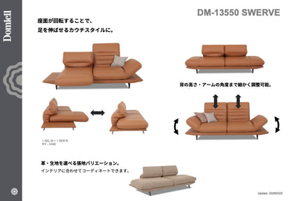 SWERVE (DM-13550)